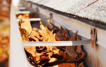 Fincraigs gutter cleaning companies