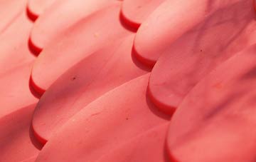 Fincraigs plastic roof costs