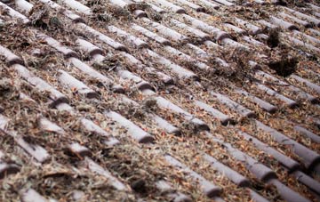 Fincraigs roof cleaning companies