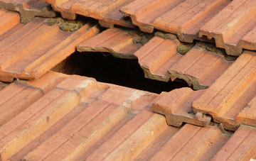 roof repair Fincraigs, Fife