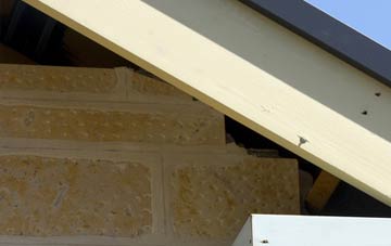 soffit repair Fincraigs