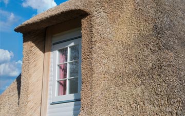Fincraigs thatch roof disadvantages