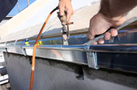 free Fincraigs fascia quotes